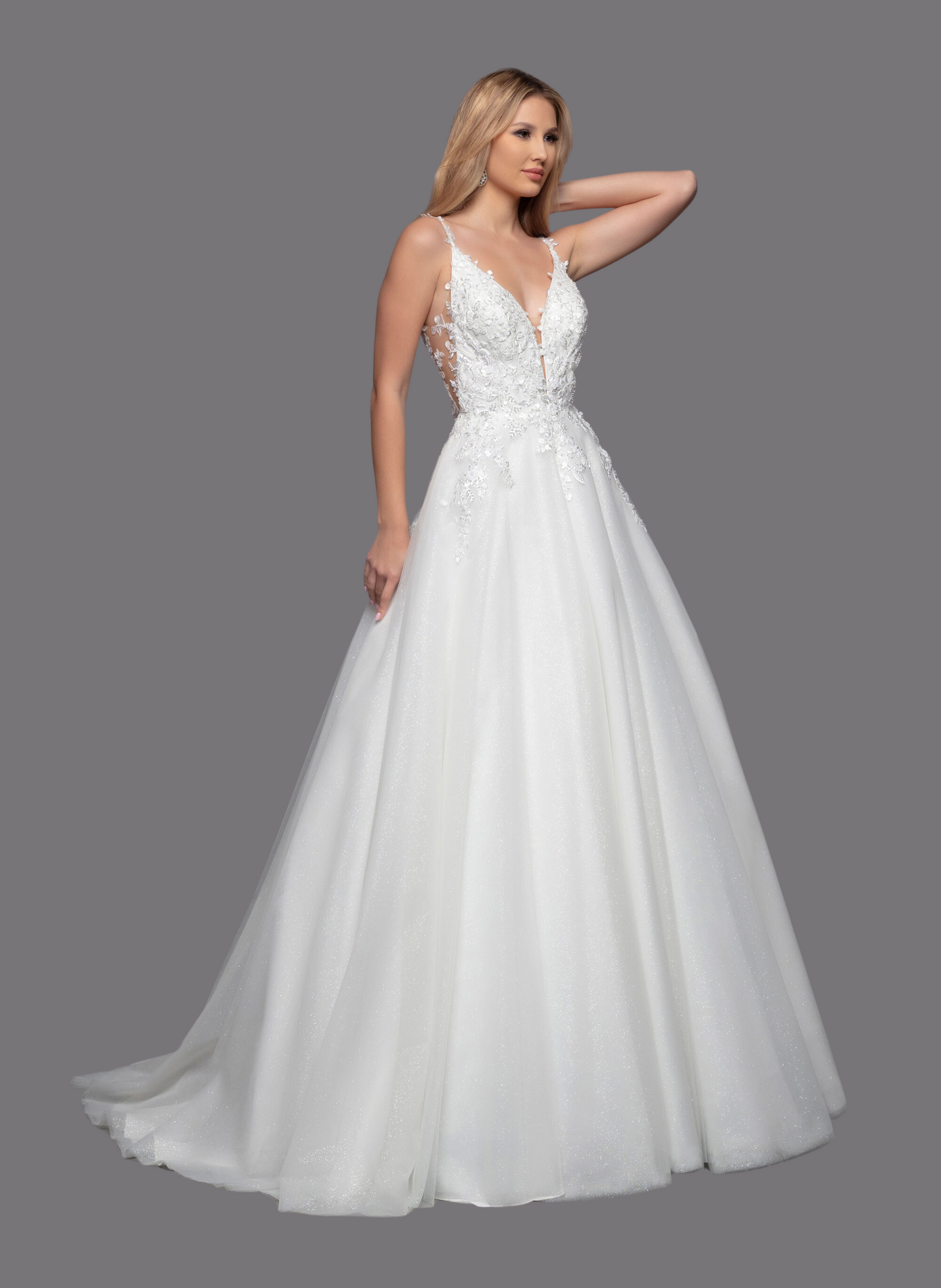 50801- Glitter Tulle/Lace